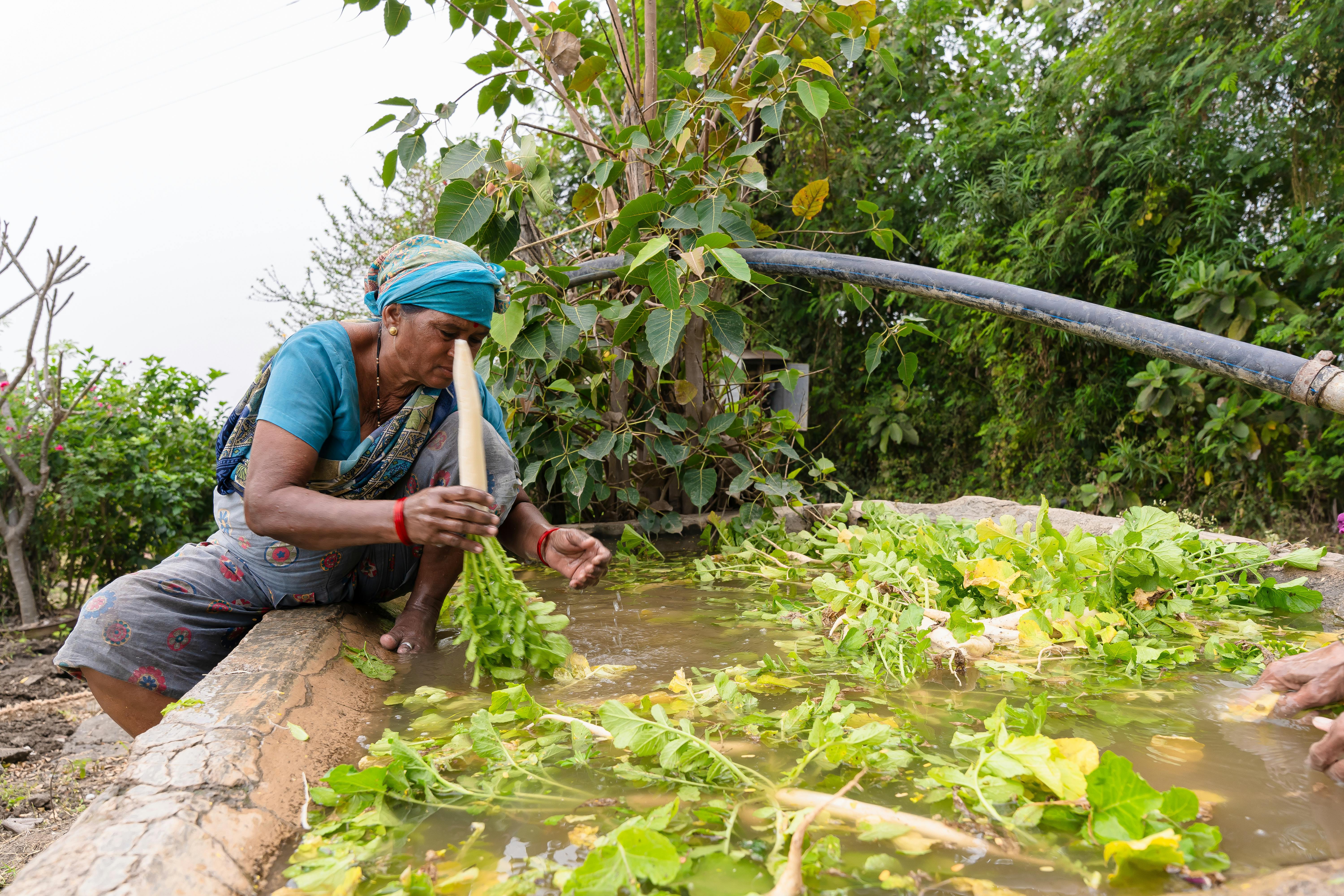 Efficient Water and Fertilizer Use